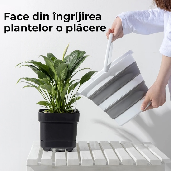 selectedImage